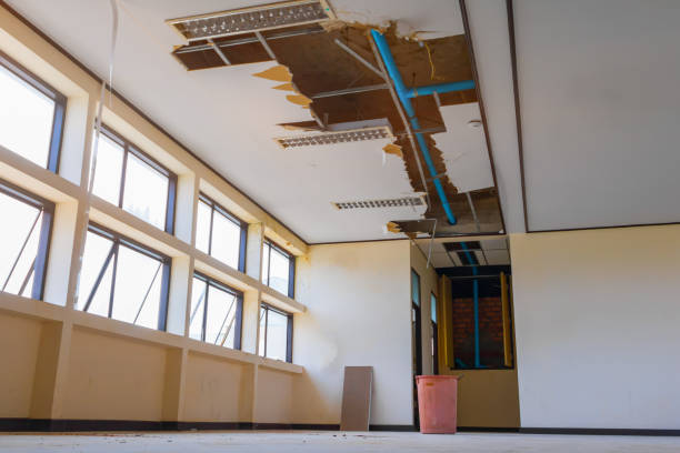 Best Local water damage restoration  in Fruitland, ID