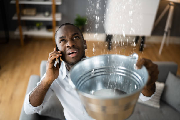 Best Mold removal after water damage  in Fruitland, ID