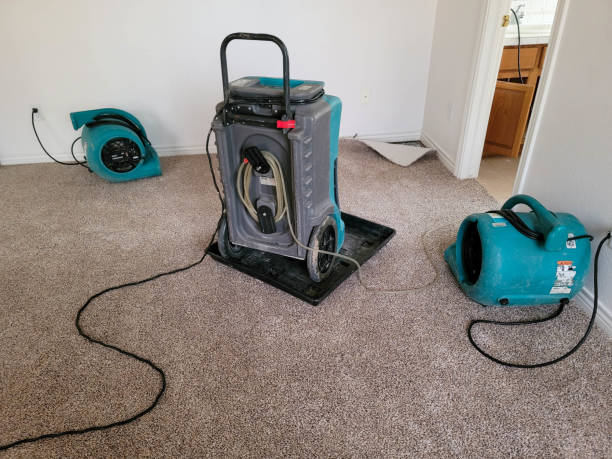 Best Water damage restoration specialists  in Fruitland, ID