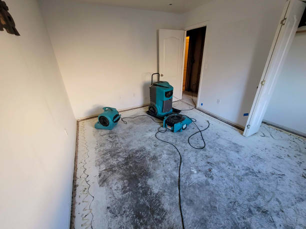 Best Water damage restoration near me  in Fruitland, ID