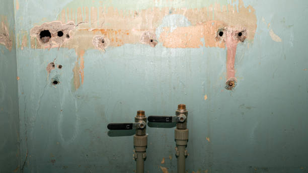 Best Emergency water damage restoration  in Fruitland, ID