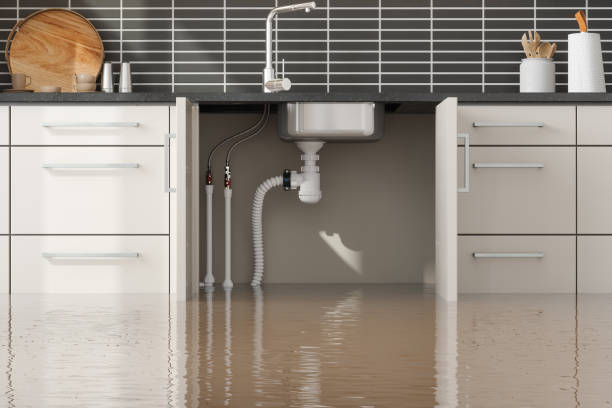 Best Water damage cleanup near me  in Fruitland, ID