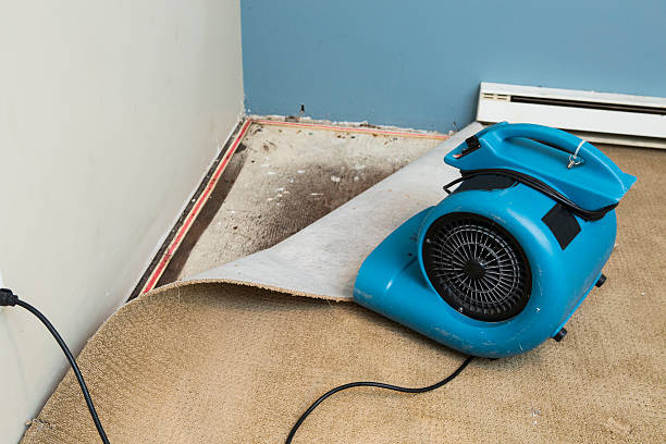 Best Flooded house restoration  in Fruitland, ID